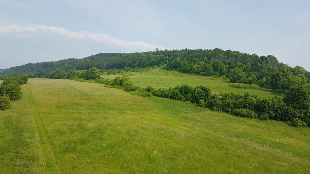 Jula - Apartamenty W Kudowie-Zdroj Kudowa-Zdrój Exteriér fotografie